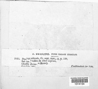 Image Associated With the Occurence